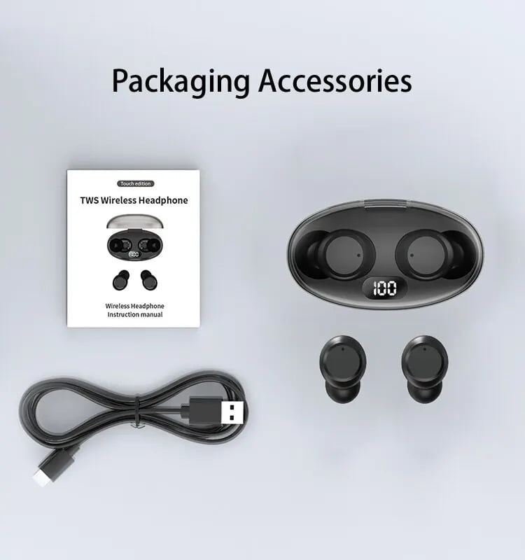 True wireless earphones